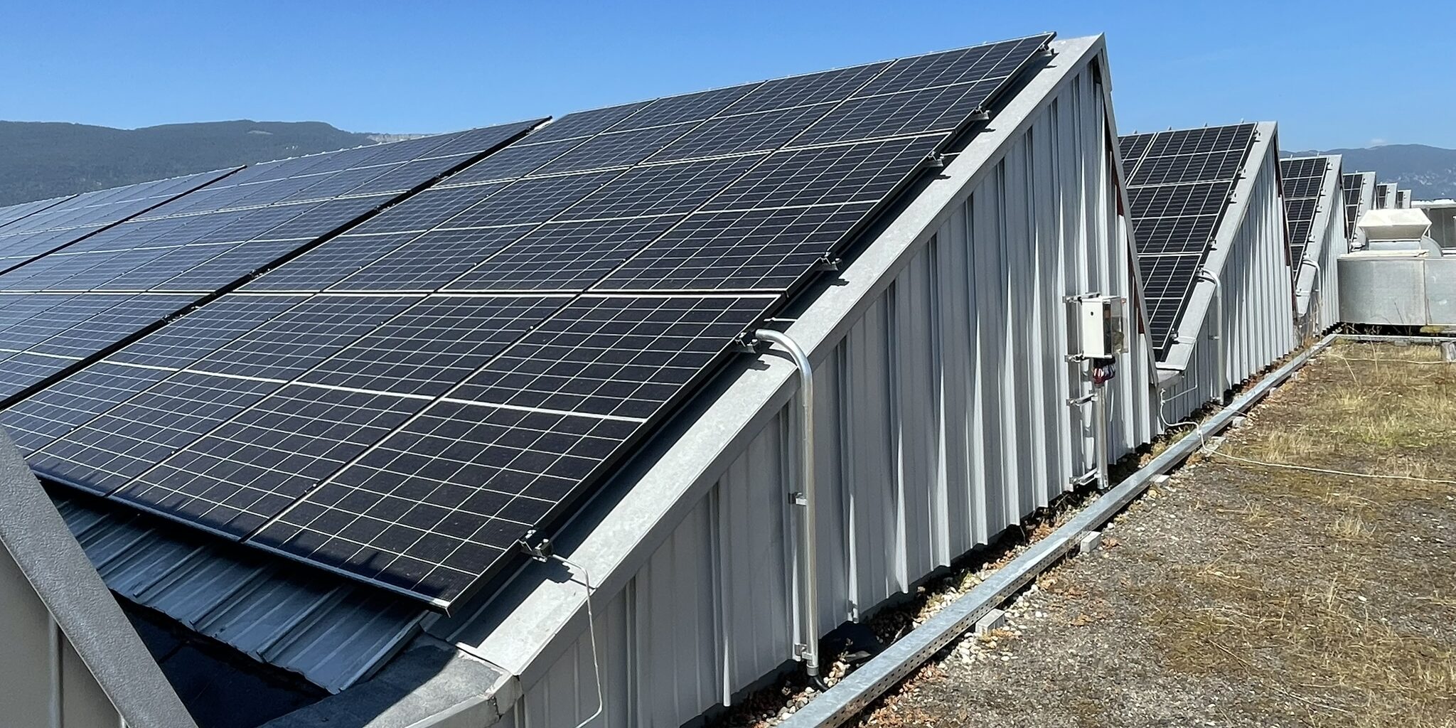 IMG_3218-aspect-ratio-800-400