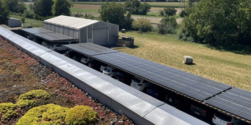 IMG_3221-aspect-ratio-800-400